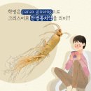 경희인삼