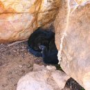 구정염소농장 이미지