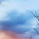 주정차 단속 - 051 이미지