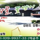 장자골 농장 이미지