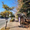 녹산산업대로 이미지