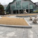 금 성 | 제주도 서귀포 건강과 성 박물관 솔직후기