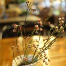 대청호반 이미지