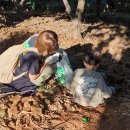 계수농장 이미지