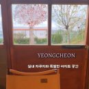 잭큐몬티562 이미지