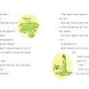 소원빵집