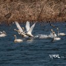 아리랑다방 이미지