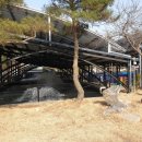 금평로 | 충북 괴산 드라이브 코스 맛집, 부흥송어장 송어회 솔직 리뷰 (내돈내산)