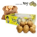 감자 이미지
