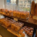 주정차단속-105 이미지