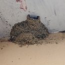 풍계리마을회관 이미지