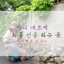 써니브릿지