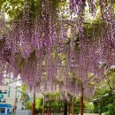 창북중학교 도서관 이미지