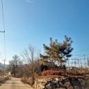 강상공인중개사사무소 이미지