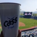 두리비어 이미지