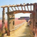 바람새마을 이미지