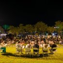 리버피크닉 이미지