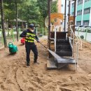 샘머리초교병설 이미지