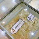 대불호텔전시관 이미지