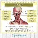 365바로한의원 이미지