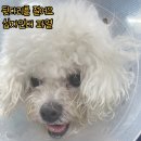 대곡동물병원 이미지