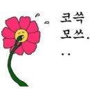 새벽수산 | 새벽 노량진수산시장 방문 후기 24시간 초장집 이용 가격비교