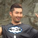 파트라슈 이미지