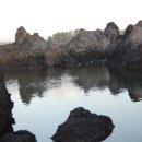 태흥목장 이미지