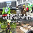 발개로 | 통영 루지 후기｜가격·할인·대기시간·주차까지 한 번에 정리
