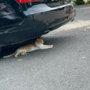 통영경찰수련원 | (경남 통영)1박2일 오션뷰 통영경찰수련원 다녀온 상세한후기