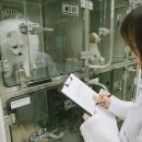 서정대학교 이미지