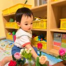 자연물들이기 | 만 1세 후각놀이 실제 후기｜꽃꽂이, 자연물 붓놀이, 레몬칩 반응은?