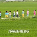 논두렁 - 양주시 | 논두렁