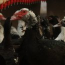 진미농장 이미지