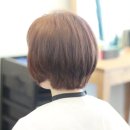 더 하우스 헤어