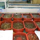 백사장회센터 이미지