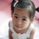 레몬트리 이미지