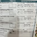 스카이베이더파크 | 스카이파크 동대문 1호점 내돈내산후기(+조식꿀팁)