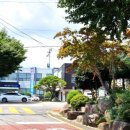 설천면 월곡 이미지