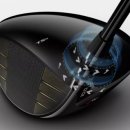 드라이버독 이미지