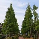 정왕중앙공원 이미지