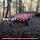 형제카센타 네이버블로그