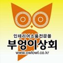 부엉이 열쇠고리(부엉이 키링) 이미지