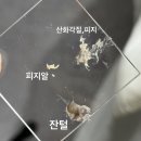 뉴메스메디칼 | 진주 스킨 플래닝 후기