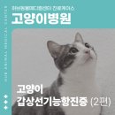 청평동물병원 이미지