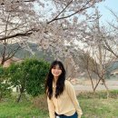 어성전야영장 이미지