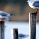 홈에서 즐기는 셀프 피부관리 이미지