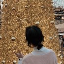 팜엑스약국 이미지