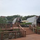 세모난나무 이미지