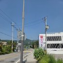 용인 신상 대형 카페 마지모우 내돈내산 솔직후기